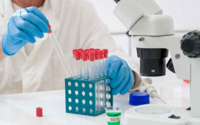 Access to Higher Education Diploma (Science)(Biophysical)