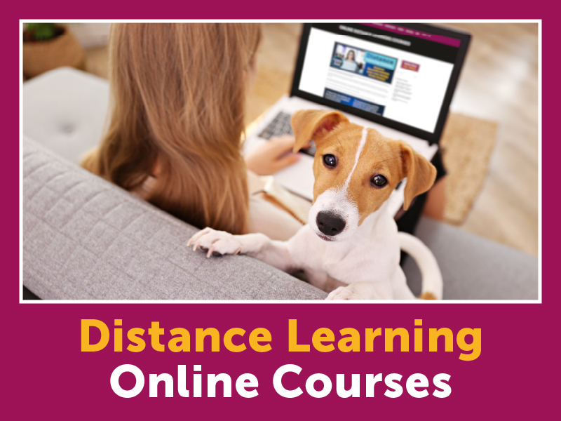 online distance learning courses widnes runcorn