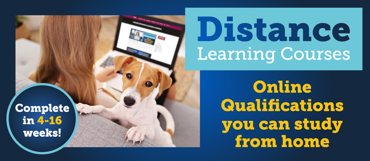 New Distance Learning Course Guide Out Now! - Riverside College