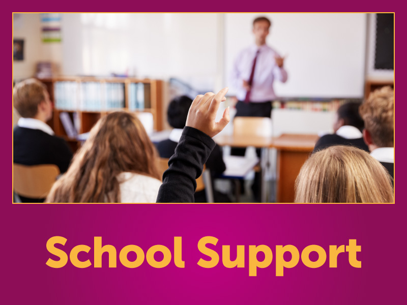 School Support